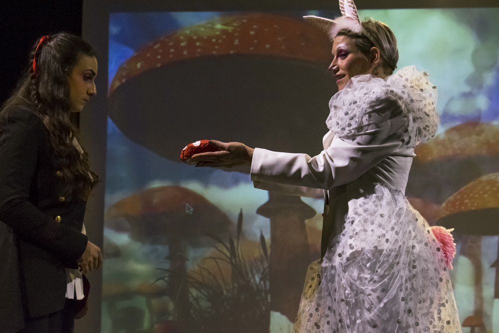 Alice in Wonderland Theatre Show, Armani Musical